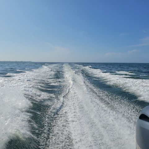 a body of water next to the ocean