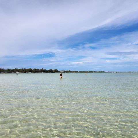 a large body of water