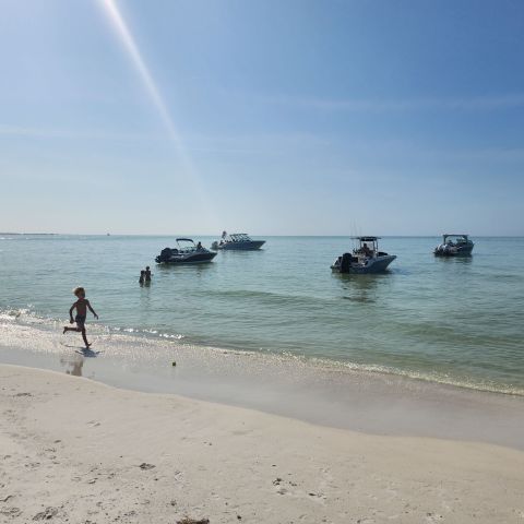 a group of people on a beach near a body of water