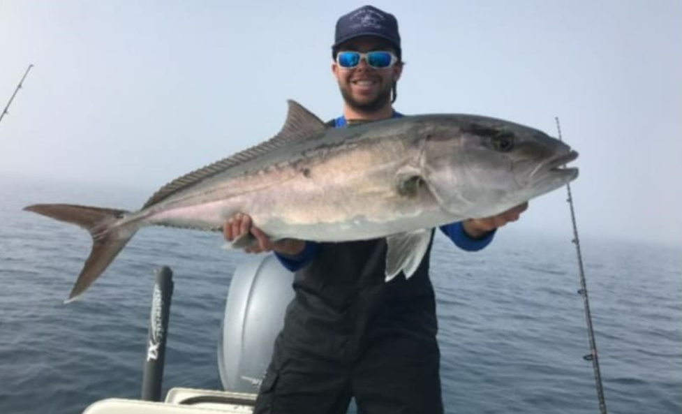 Angler holding a large amberjack