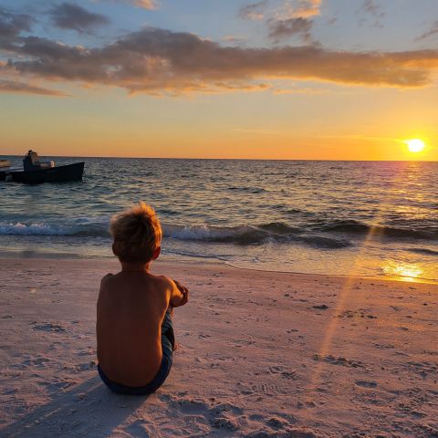 a person standing on a beach in front of a sunset