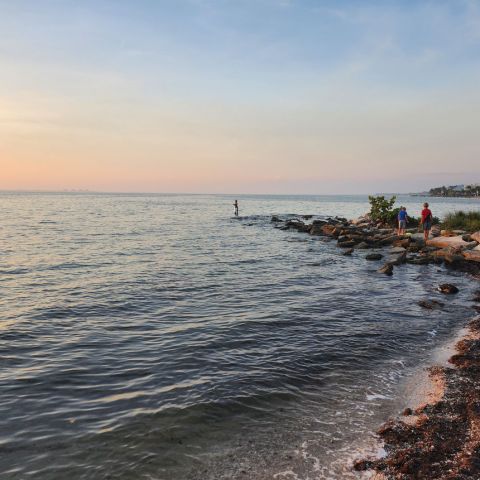 a group of people on a beach near a body of water