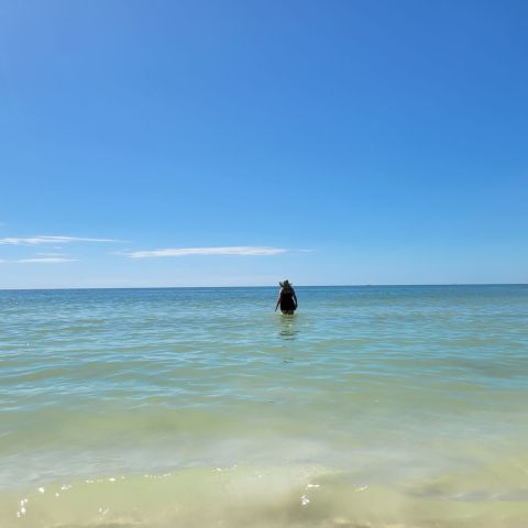 a person standing next to a body of water