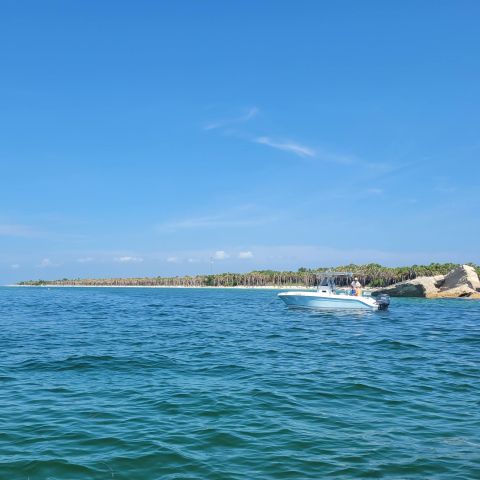 a large body of water