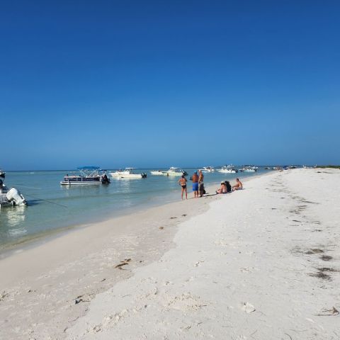 a group of people on a beach