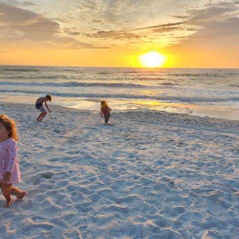 a group of people playing frisbee on the beach