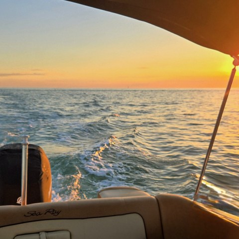 a person sitting in front of a body of water