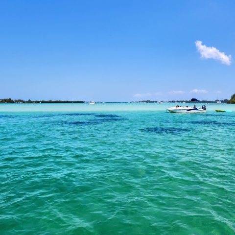 a large body of water