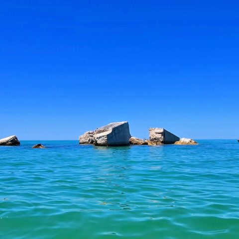 a blue and white boat sitting next to a body of water