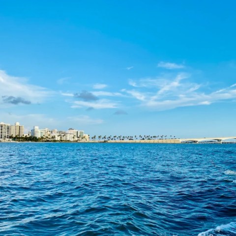 a large body of water